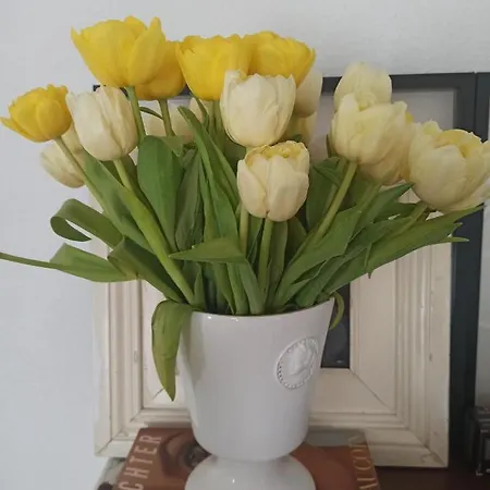 Cosyhome Διαμέρισμα