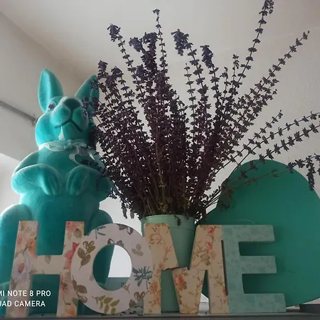 Cosyhome