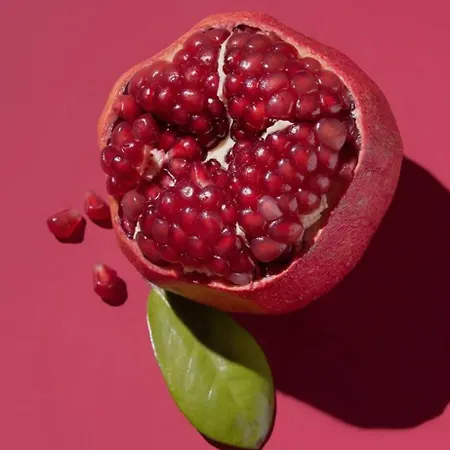 Cosyhome * Ανόβερο