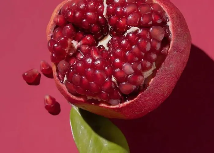 Cosyhome * 汉诺威